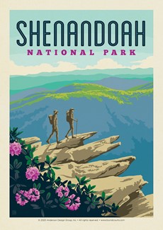 Shenandoah NP Hawksbill Mountain Postcard