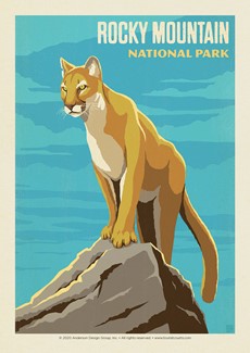Rocky Mountain NP Cougar | Postcard