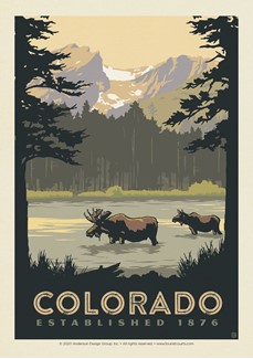 CO Sprague Lake Moose | Postcard