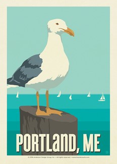 Gull Portland, ME | Postcard