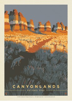 Canyonlands NP Coyote Postcard