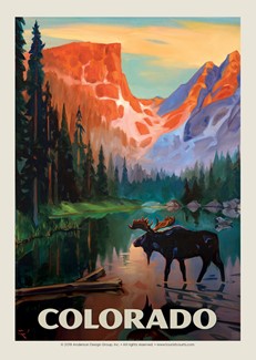 CO Moose in the Morning | Postcard