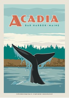 ME Whale Tail Bar Harbor Postcard