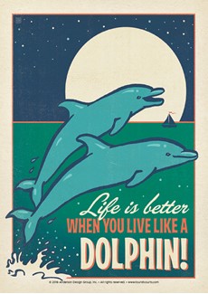 FL Live Like a Dolphin | Postcards