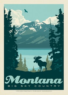 MT Big Sky Country Moose View | Postcard