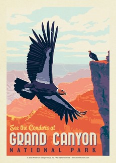 Grand Canyon NP Condors | Postcard
