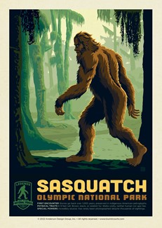 Olympic's Sasquatch | Postcard