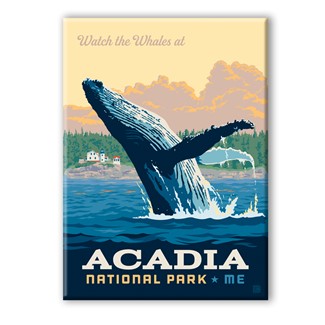 Acadia NP Whale Watching Magnet | American Made Magnet