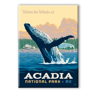 Acadia NP Whale Watching Magnet