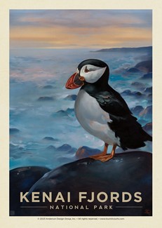 Kenai Fjords FNP Puffin Postcard | Postcard