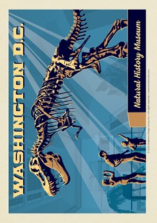 Washington DC: Museum of Natural History Postcard | Postcard