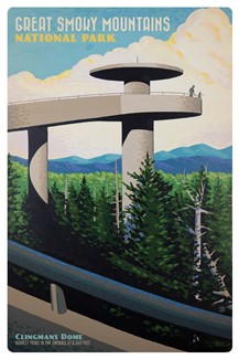 GSM NP Clingmans Dome Magnetic PC | themed magnet postcard