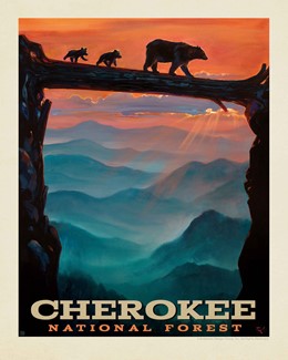 Cherokee National Forest Crossing| American Made
