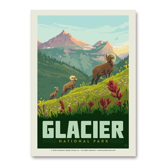 Glacier NP Bighorn Sheep Vert Sticker | Vertical Sticker