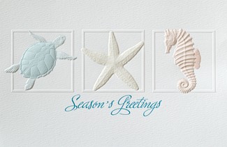 Seaside Trio | Made in the USA