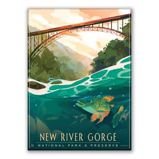 New River Gorge NP and Preserve Fish-Eye View Magnet | American Made