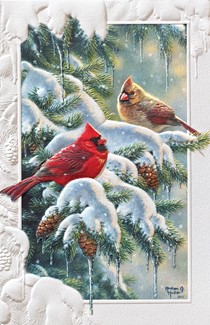 Cardinal Greetings | Inspirational boxed Christmas cards