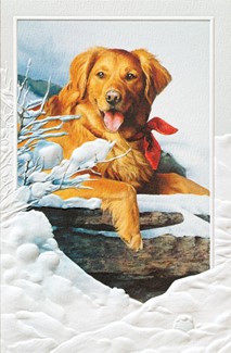 Snow Lover | Dogs boxed Christmas cards