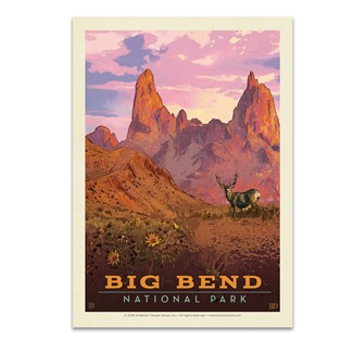 Big Bend NP Mule Deer Postcard