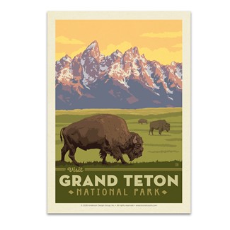 Grand Teton NP Bisons Postcard | USA Made