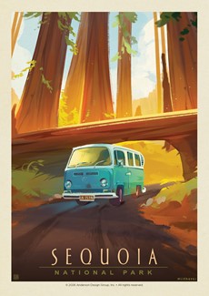 Sequoia NP Through the Trees Postcard