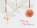 Ocean Ornaments