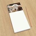 Hello World
