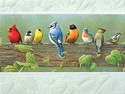 Railbirds