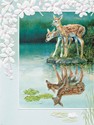 Whitetail Fawns (BDIN) Petite Folded - W/Env