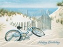Beach Bike Petite Folded - W/Env