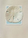 Sand Dollar (BK) Petite Folded - W/Env