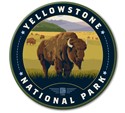 Yellowstone NP Bison Field Circle Magnet