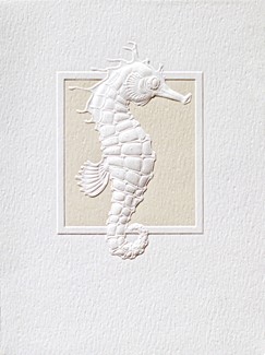 Seahorse Saunter