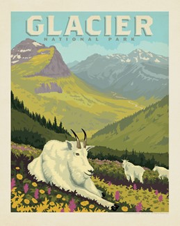 Glacier NP Goats in the Valley 8" x 10" Print