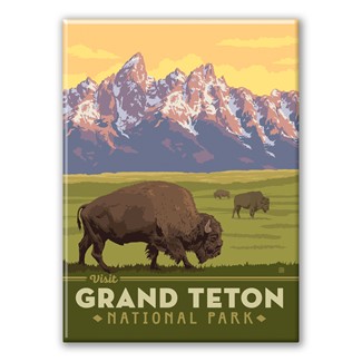 Grand Teton NP Bisons Magnet