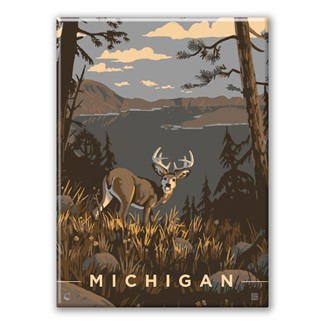 Michigan Magnet