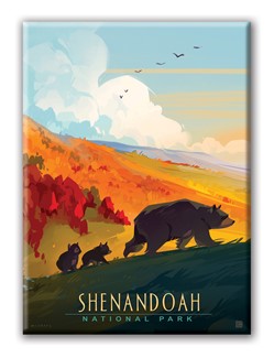 Shenandoah NP Mama Bear & Cubs Magnet