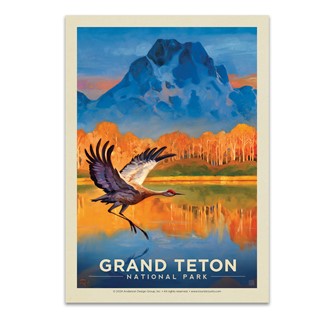 Grand Teton NP Sand Hill Crane Postcard