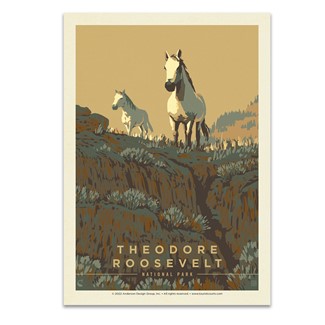 Theodore Roosevelt NP Horseplay Postcard
