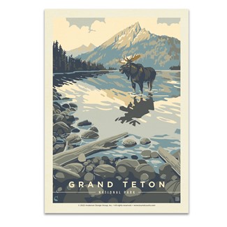 Grand Teton NP Meandering Moose Postcard
