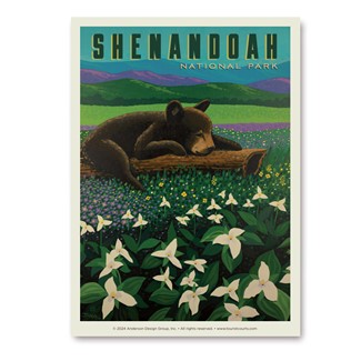 Shenandoah National Park Wildflower Cub Vertical Sticker