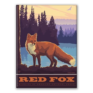 Red Fox Magnet