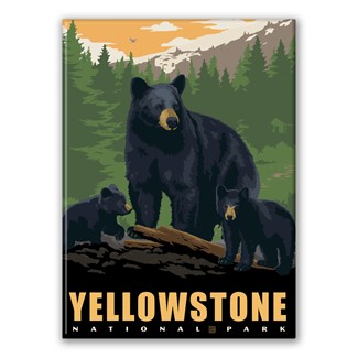 Yellowstone NP Black Bear Family Magnet