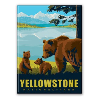 Yellowstone NP Wildlife Bears Magnet