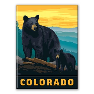 Colorado Bear Magnet