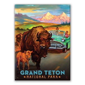 Grand Teton Bison Magnet