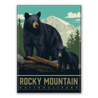Rocky Mountain NP Wildlife Black Bears Magnet