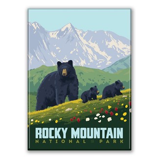 Rocky Mountain NP Black Bears Magnet