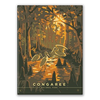 Congaree NP Daybreak Magnet