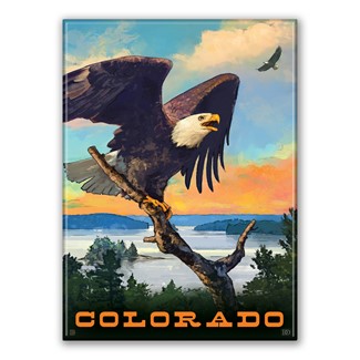Colorado Eagle Magnet